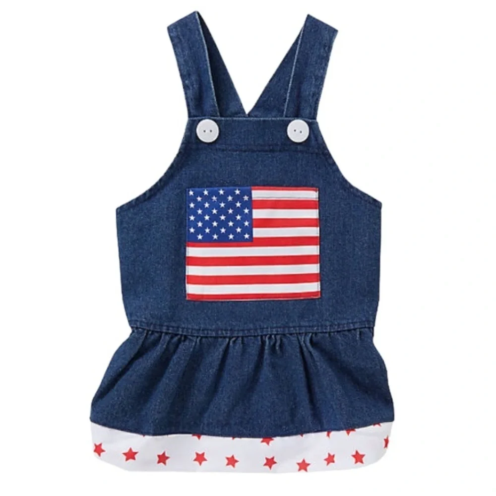 NWT denim American flag dress L